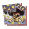 16 Adet 33x33 Cm Pirate Bounty Peçete